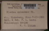 Image Associated With the Occurence
